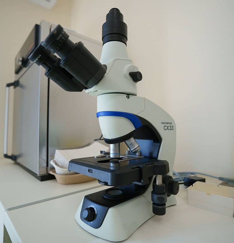 southcorfudc-mikroviologiko-section-2